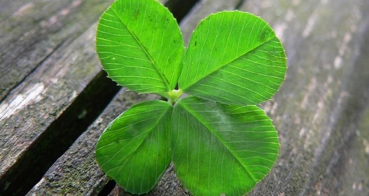 St Patty’s Day is coming: