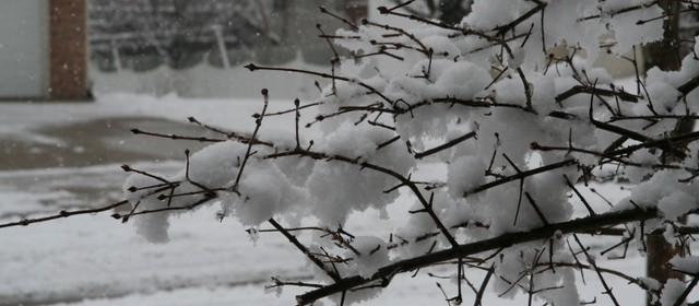 Middle of January…