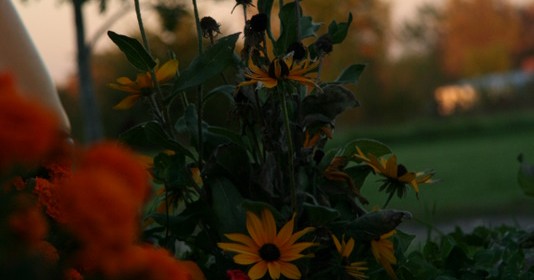 Hello, Fall. Quilt Market, Road Trip, Twitter and more!