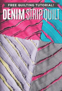 New Friday Tutorial: The Denim Strip Quilt with Special Guest Amy ...