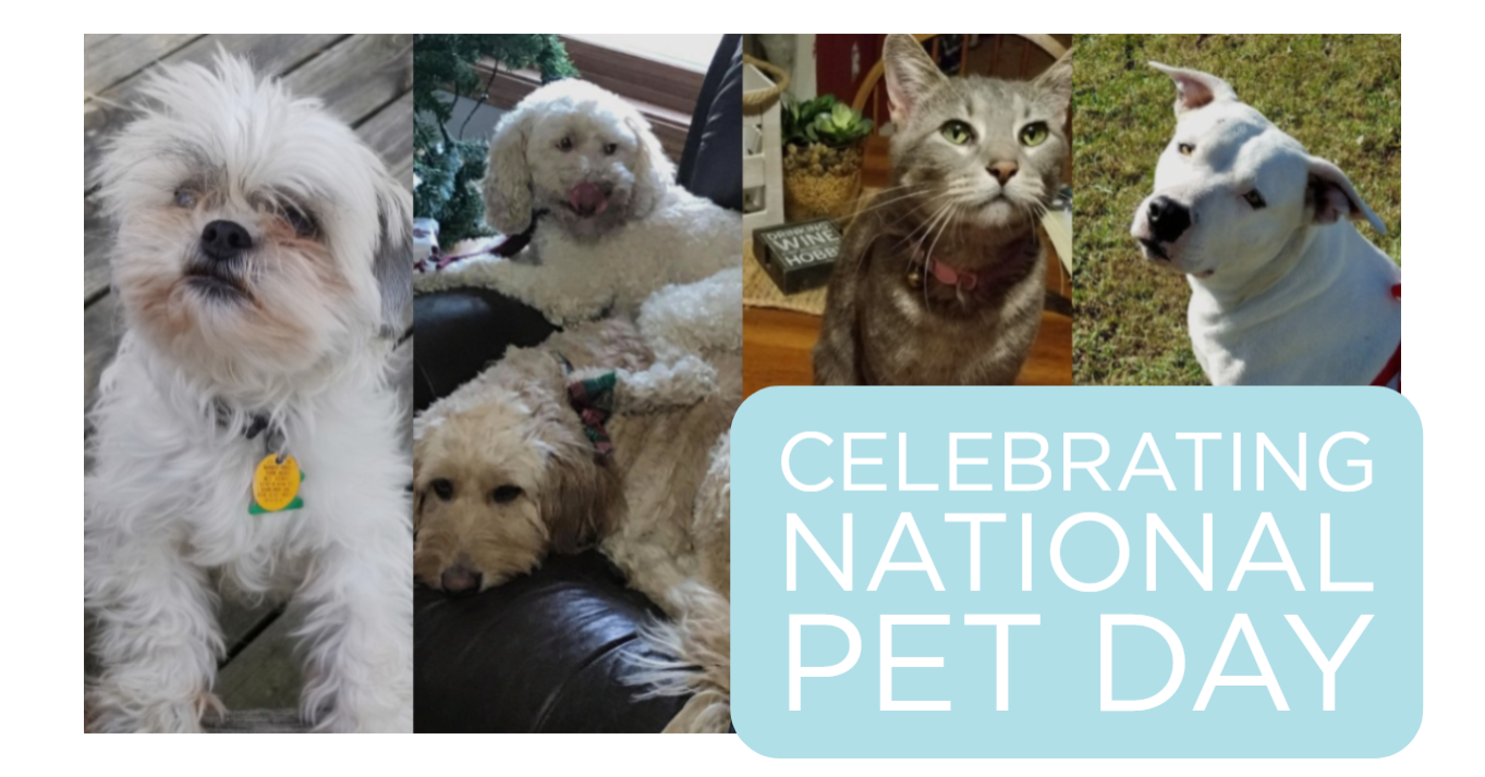 National Pet Day at Missouri Star