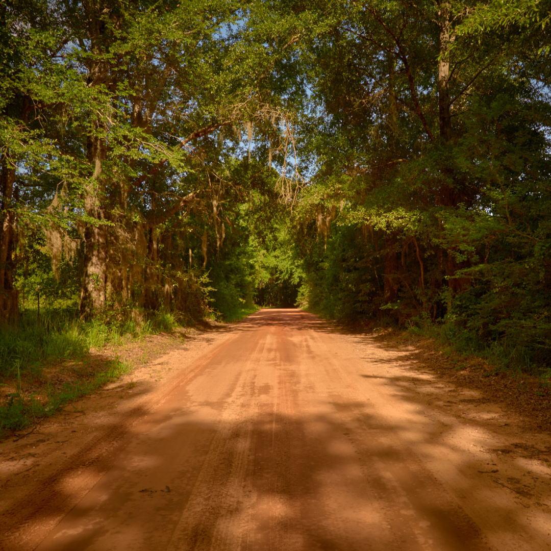Gee’s Bend Quilters Abstract Art from the Rural South LaptrinhX / News